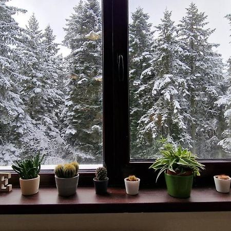Pine Tree Apartment / Borovets Gardens Exterior foto